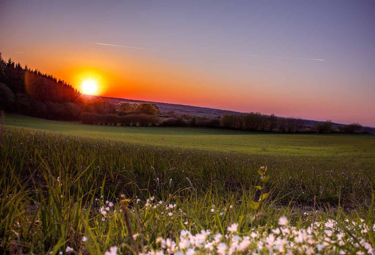 Saulėlydis, Saulė, Abendstimmung, Dangus, Besileidžianti Saulė, Afterglow, Medis, Kraštovaizdis, Vakarinis Dangus, Romantiškas