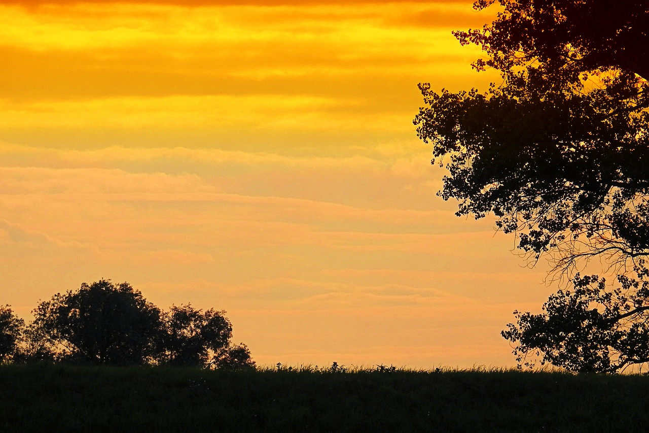 Saulėlydis, Medžiai, Siluetas, Twilight, Vakaro Saulė, Dusk, Vakarinis Dangus, Nemokamos Nuotraukos,  Nemokama Licenzija