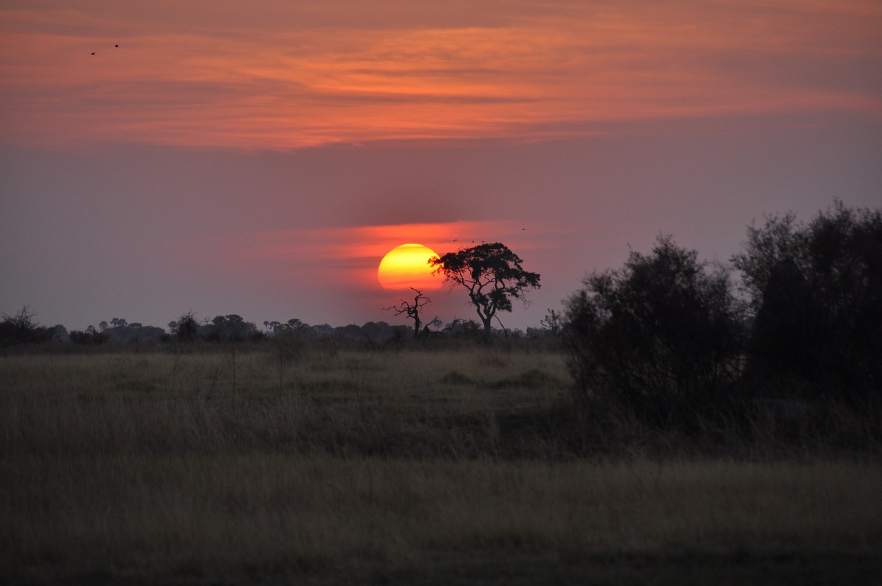 Saulėlydis, Botsvana, Okavango, Nemokamos Nuotraukos,  Nemokama Licenzija