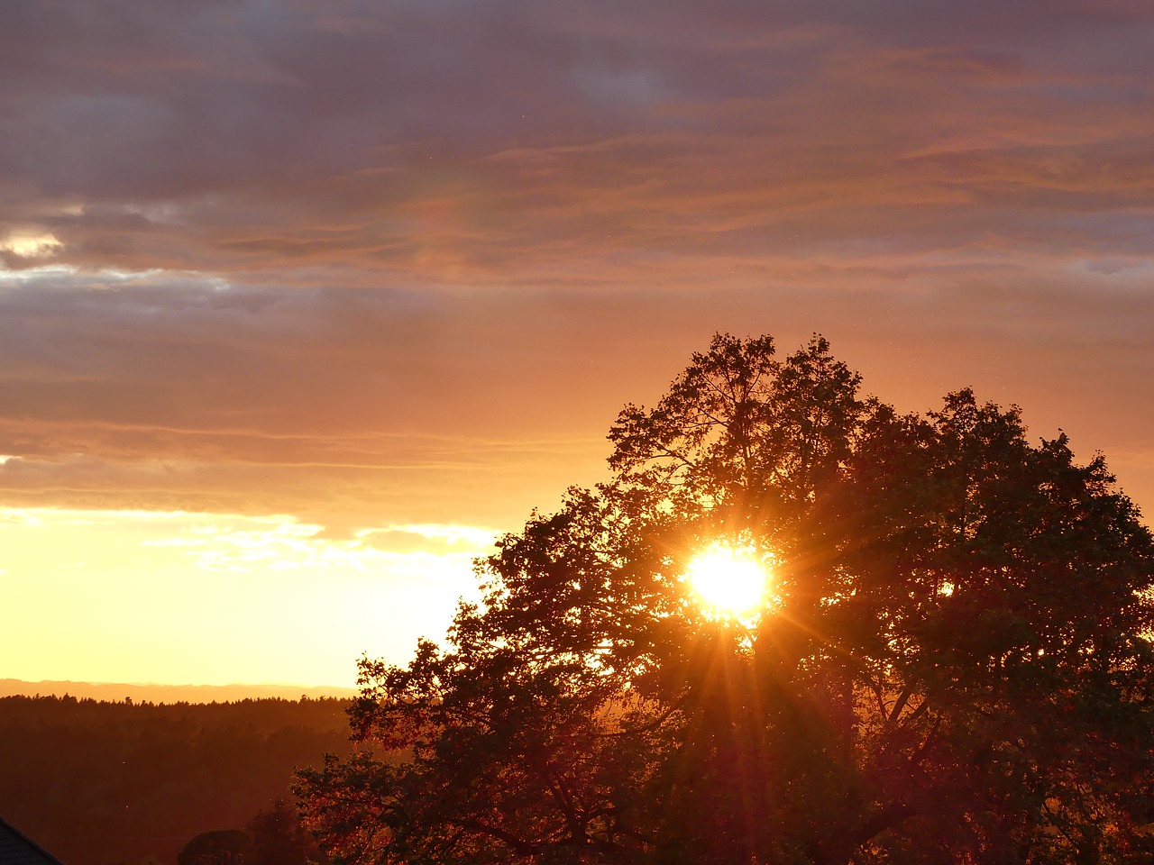 Saulėlydis, Oranžinė, Abendstimmung, Gražus, Medis, Nemokamos Nuotraukos,  Nemokama Licenzija