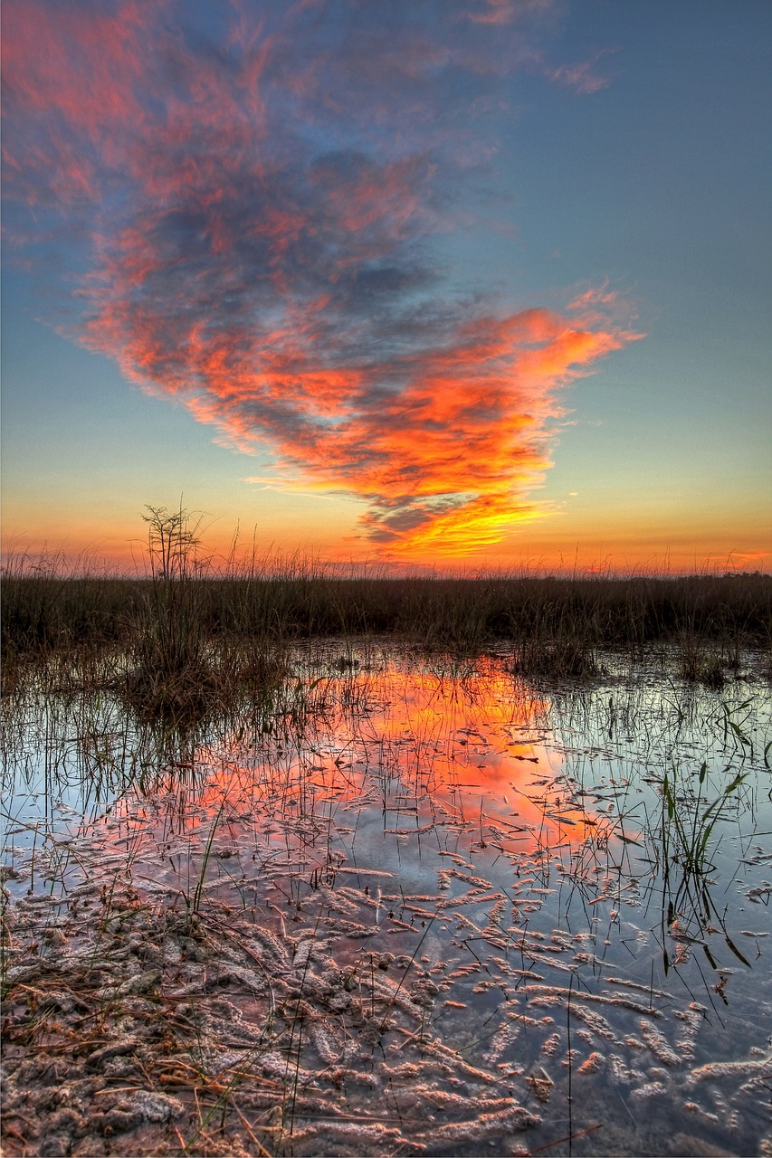 Saulėlydis, Kraštovaizdis, Dangus, Spalvinga, Vanduo, Everglades, Debesys, Pelkė, Florida, Usa