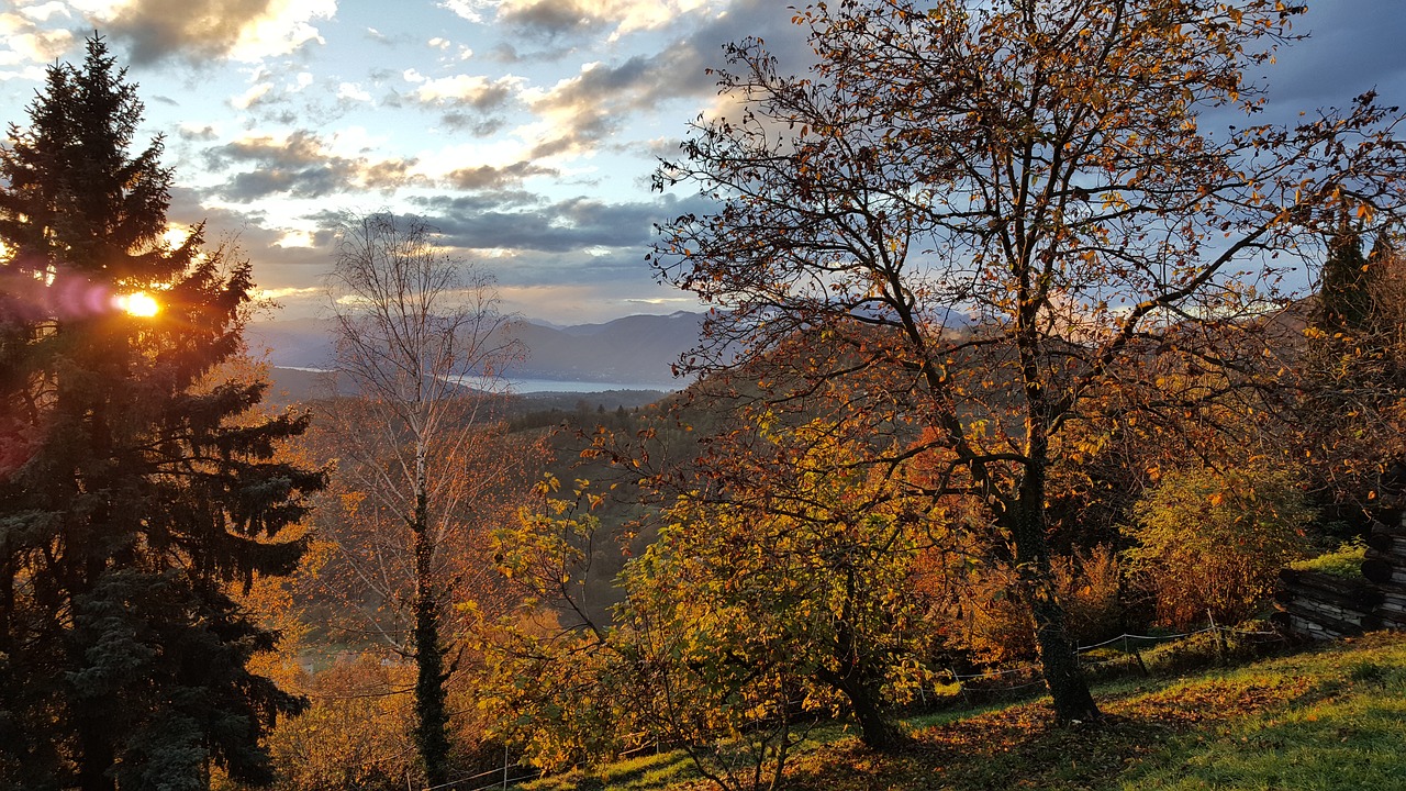 Saulėlydis, Ruduo, Miškas, Kraštovaizdis, Rudens Miškai, Medis, Lapija, Dangus, Į Mišką, Kalnas