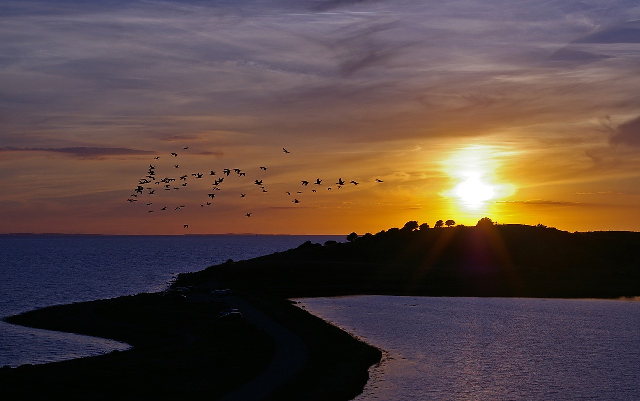 Saulėlydis, Denmark, Jūra, Baltijos Jūra, Kranto, Vanduo, Gamta, Kraštovaizdis, Saulė, Abendstimmung