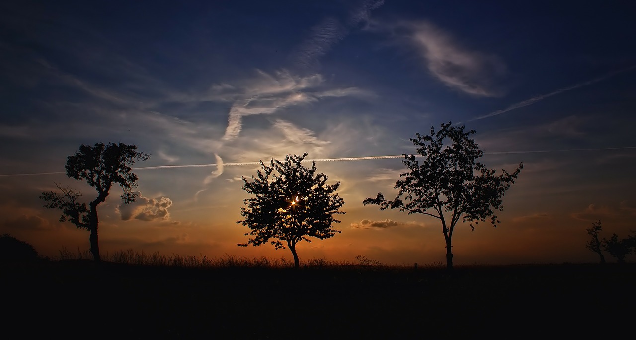 Saulėlydis, Foninis Apšvietimas, Žiemą, Dangus, Vakarinis Dangus, Nuotaika, Atmosfera, Brandenburg, Gamta, Vokietija