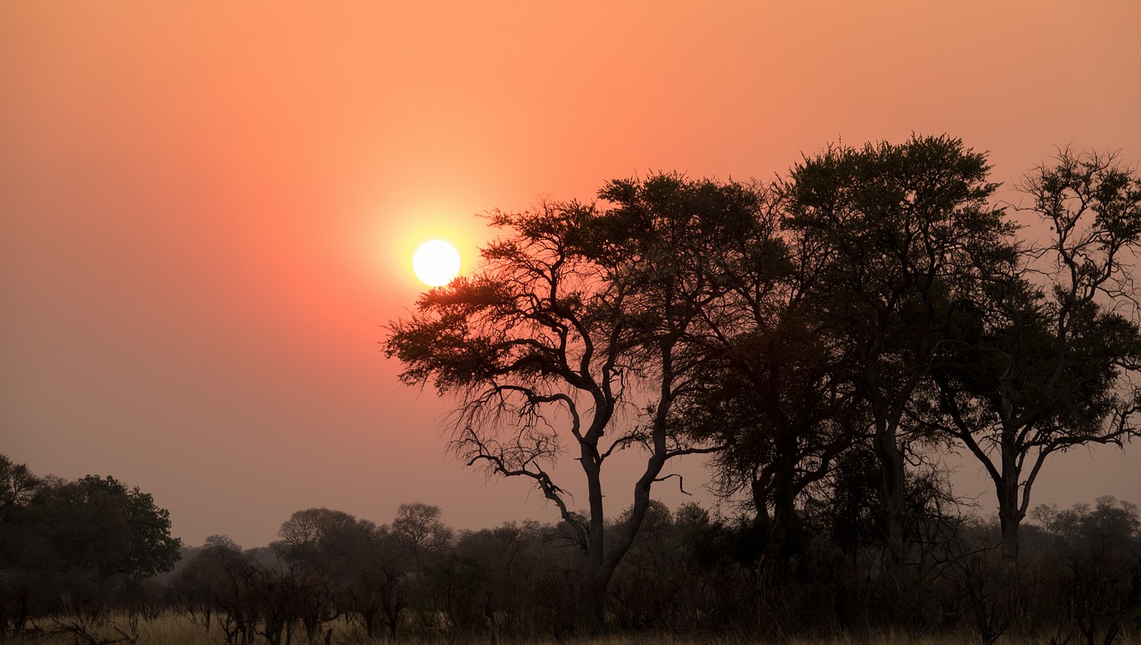 Saulėlydis, Botsvana, Gamtos Šūviai, Afterglow, Afrika, Nemokamos Nuotraukos,  Nemokama Licenzija