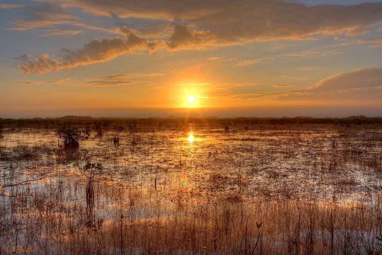 Saulėlydis, Kraštovaizdis, Dangus, Spalvinga, Vanduo, Everglades, Debesys, Pelkė, Florida, Usa