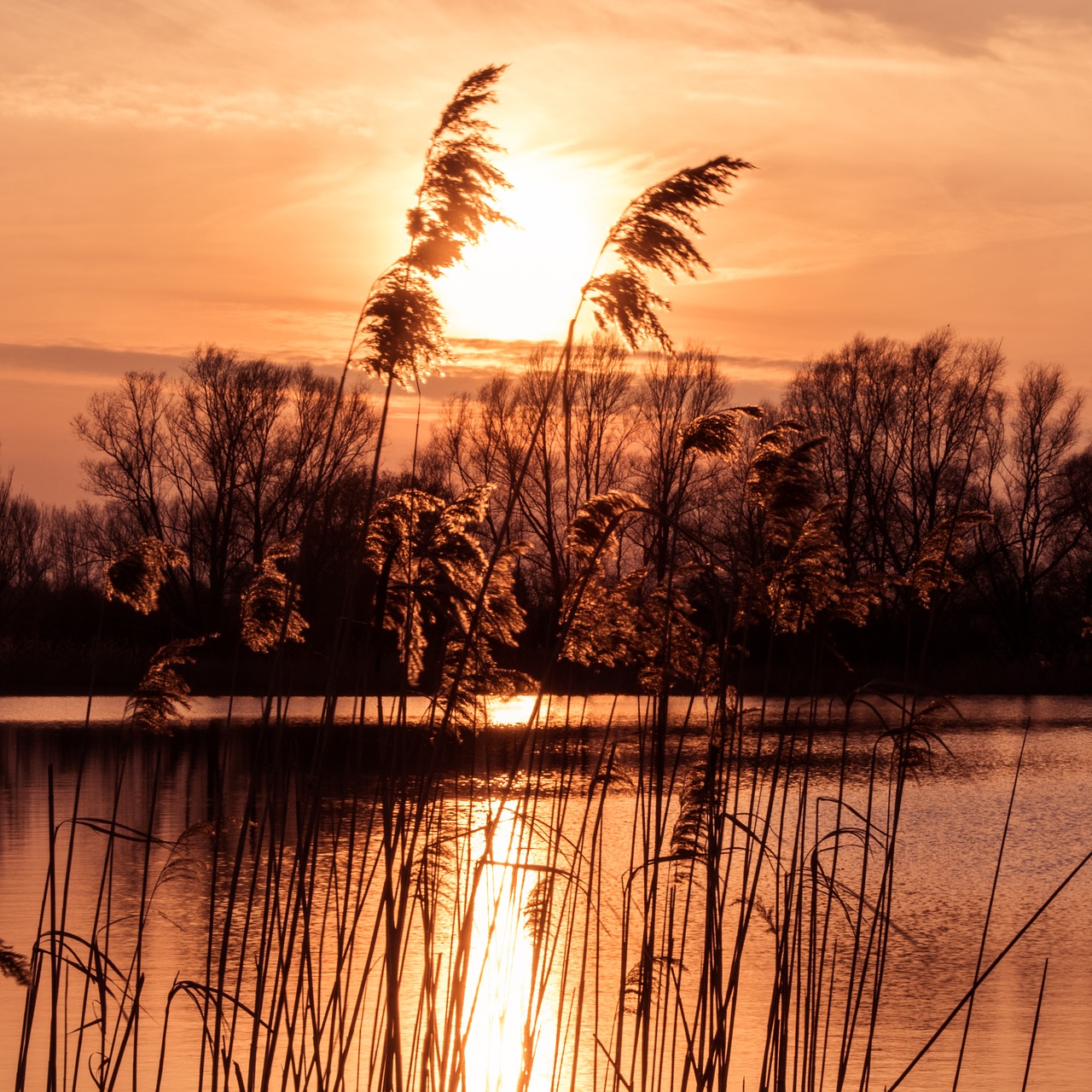 Saulėlydis, Romantiškas, Žolės, Vanduo, Dusk, Abendstimmung, Debesys, Vakaro Saulė, Saulėlydis, Dangus