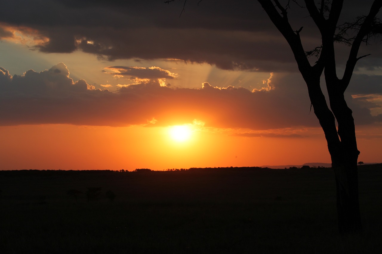 Saulėlydis, Afrika, Dangus, Safari, Medis, Vaizdingas, Dusk, Saulė, Nemokamos Nuotraukos,  Nemokama Licenzija