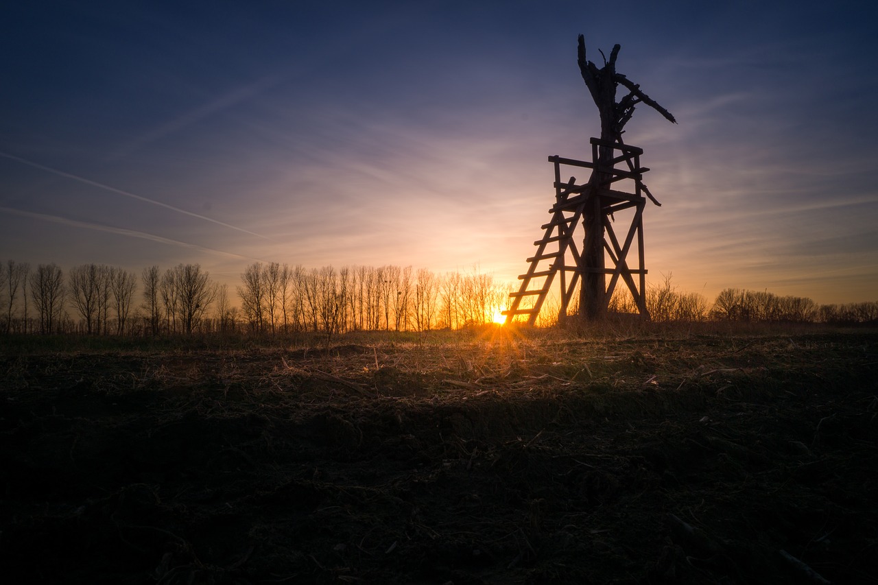 Saulėlydis, Atgal Šviesa, Dusk, Siluetas, Debesys, Apšvietimas, Romantika, Saulės Spindulys, Spalva, Žiema