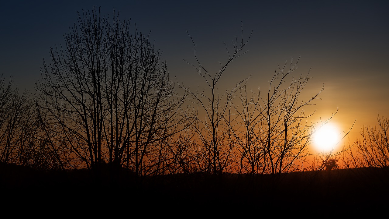 Saulėlydis, Siluetas, Medžiai, Vakaras, Nuotaika, Vakaro Saulė, Saulė, Atgal Šviesa, Afterglow, Abendstimmung