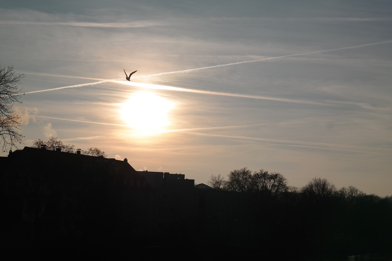 Saulėlydis, Paukščiai, Skristi, Contrail, Saulė, Dangus, Debesys, Auksinis, Spindesys, Abendstimmung