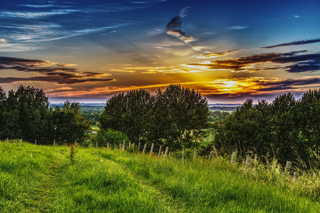 Saulėlydis, Pieva, Kraštovaizdis, Gamta, Nuotaika, Saulė, Vakarinis Dangus, Žolė, Abendstimmung, Žolės