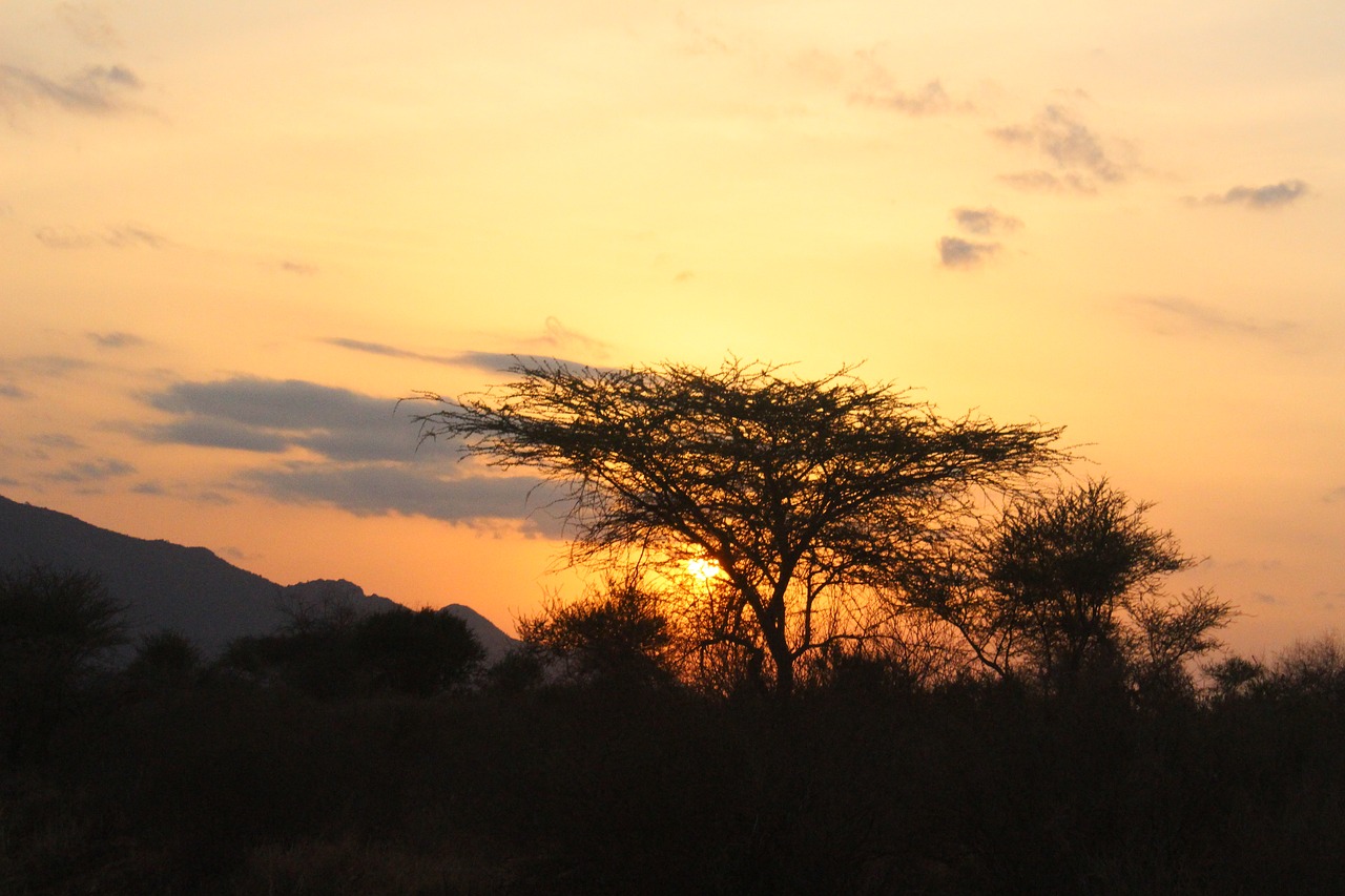 Saulėlydis, Natūralus, Kenya, Nemokamos Nuotraukos,  Nemokama Licenzija