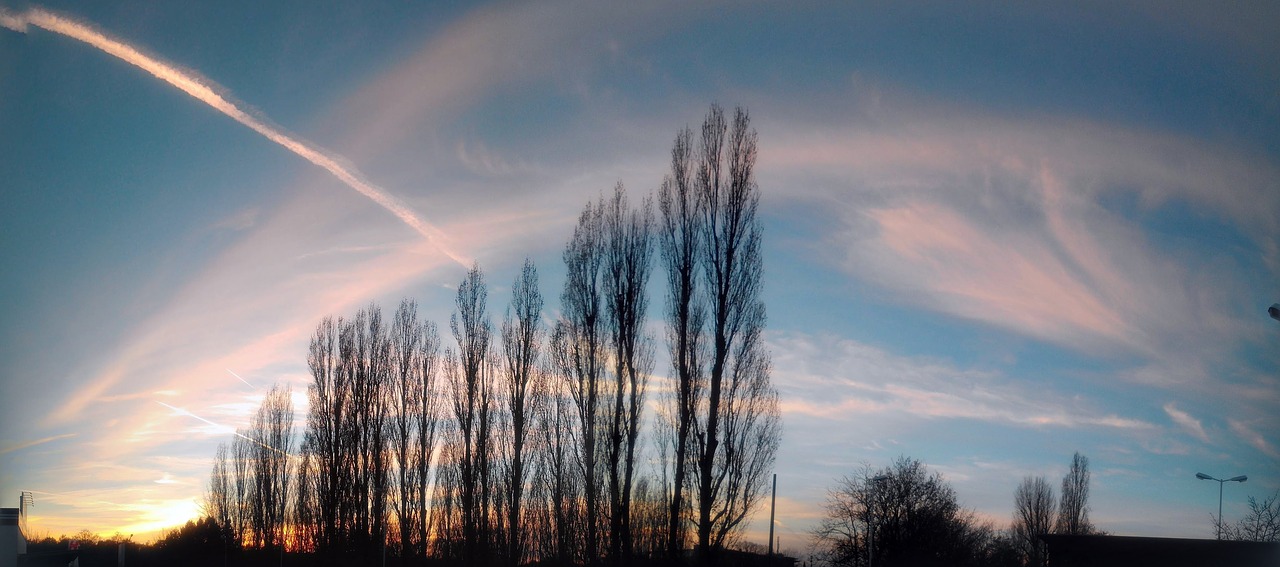 Saulėlydis, Dangus, Romantika, Debesys, Saulė, Abendstimmung, Vanduo, Danube, Medis, Panorama