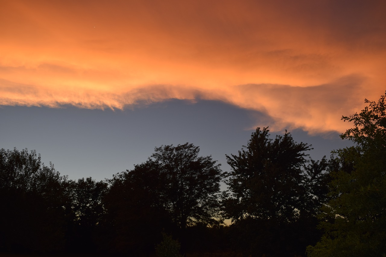 Saulėlydis, Debesys, Oranžinė, Šviesa, Vakaras, Twilight, Graži, Medžiai, Dusk, Dangus