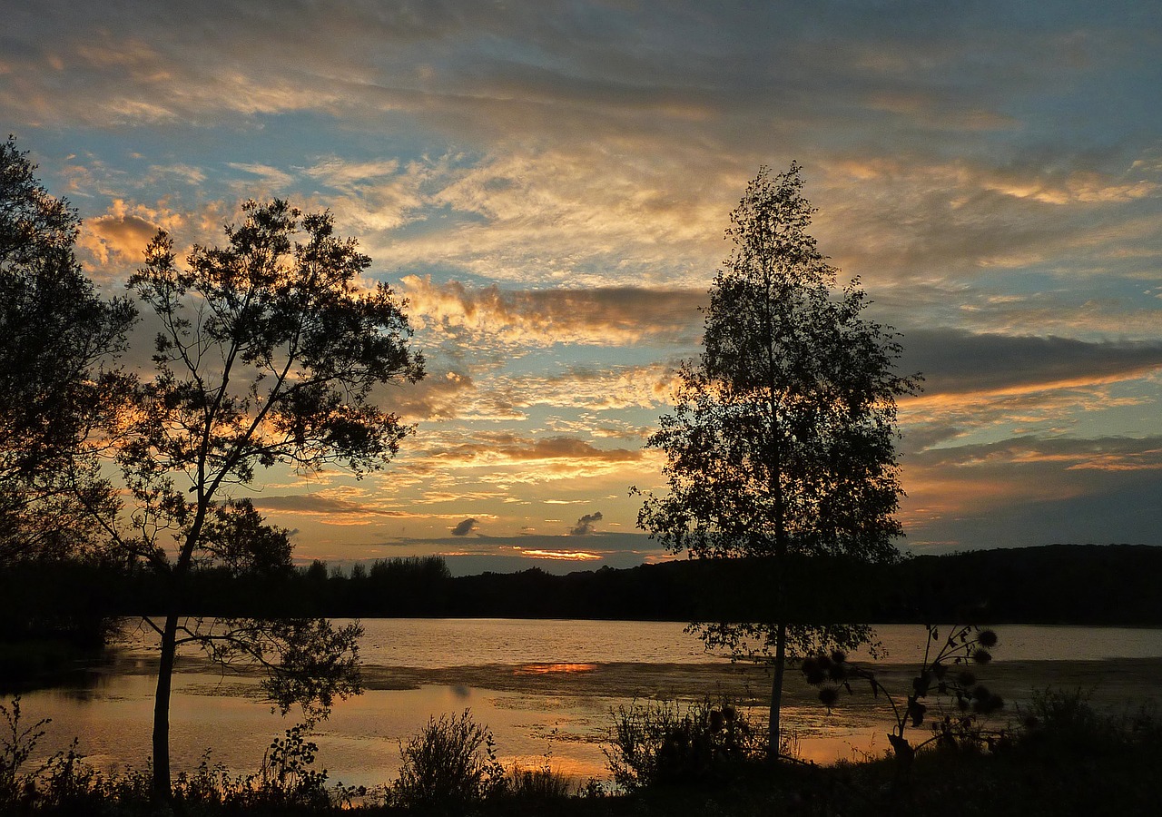 Saulėlydis, Tvenkinys, Gamta, Twilight, Vasara, Kraštovaizdis, Vandens Planas, Augalai, Įsimylėjes, Šviesos Atspindžiai