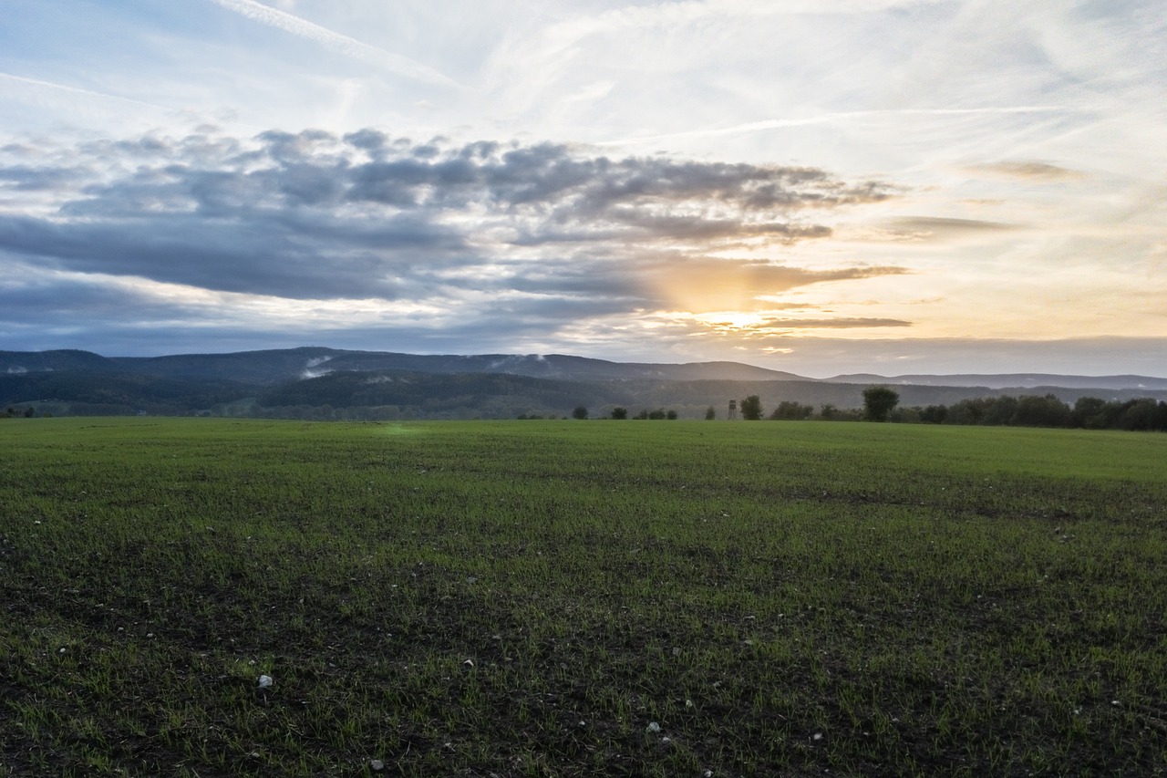 Saulėlydis, Pieva, Pinigai, Erdvus, Vakarinis Dangus, Abendstimmung, Kraštovaizdis, Nemokamos Nuotraukos,  Nemokama Licenzija