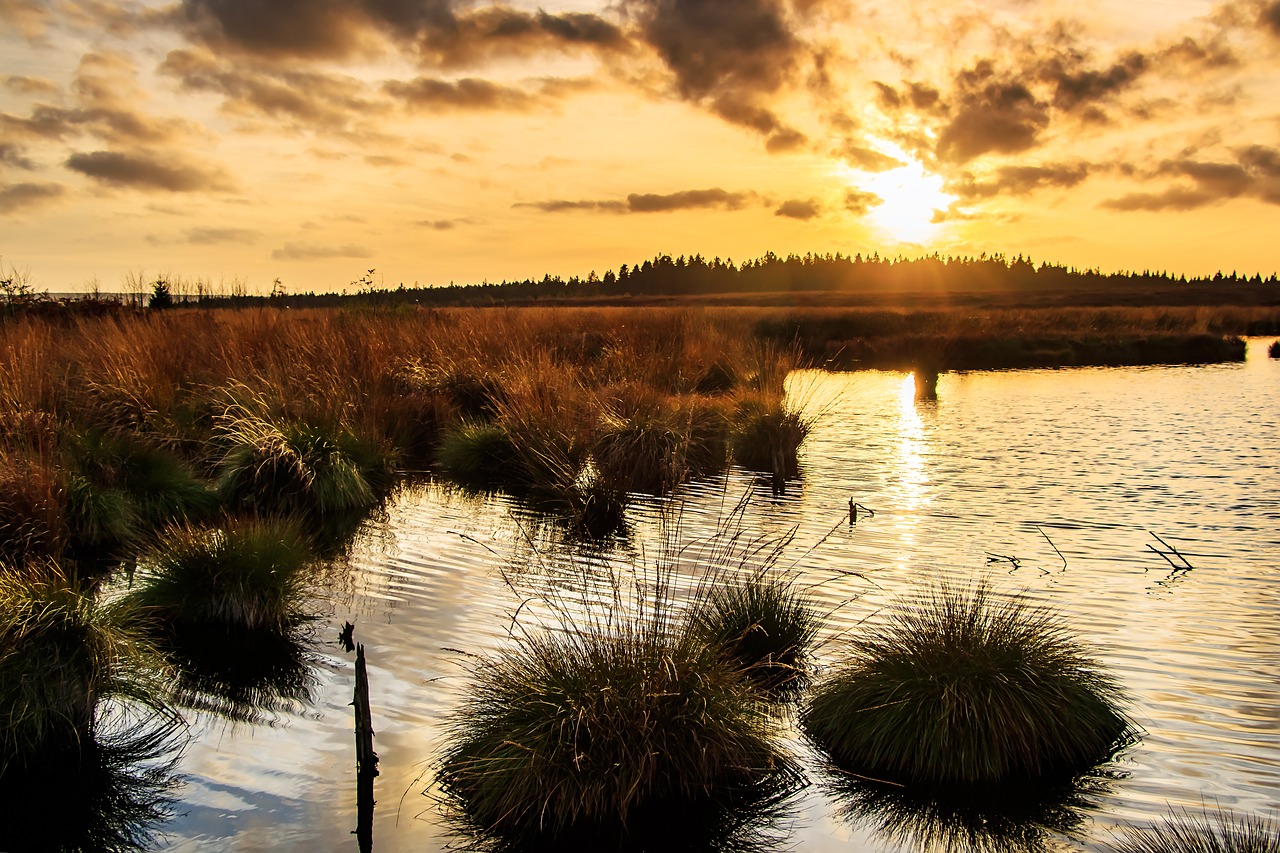 Saulėlydis, Kiauras, Venn, Belgija, Eifel, Nuotaika, Gamtos Rezervatas, Pelkė, Abendstimmung, Kraštovaizdis