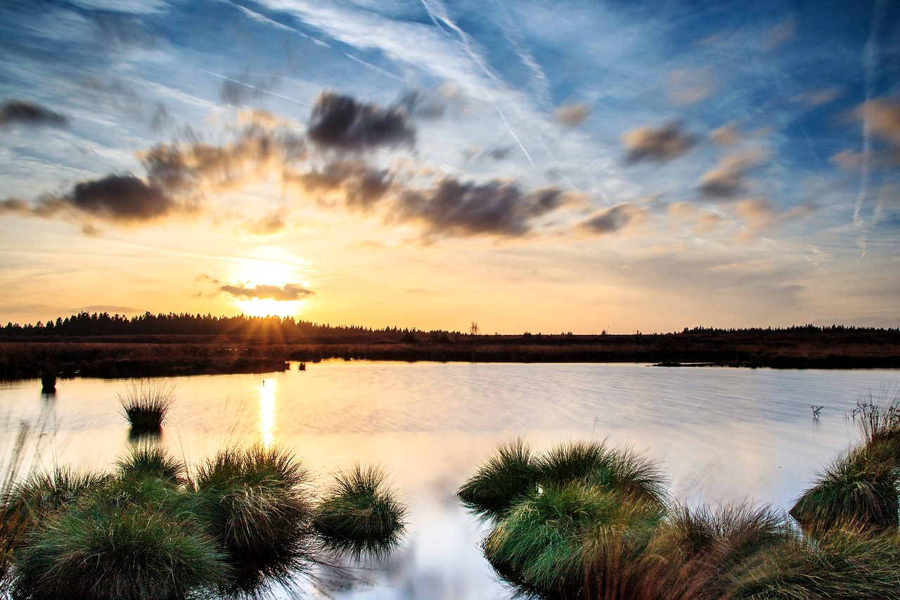 Saulėlydis, Kiauras, Venn, Belgija, Eifel, Nuotaika, Gamtos Rezervatas, Pelkė, Abendstimmung, Kraštovaizdis