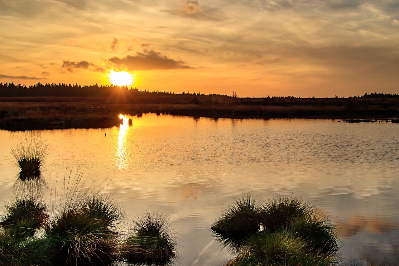 Saulėlydis, Kiauras, Venn, Belgija, Eifel, Nuotaika, Gamtos Rezervatas, Pelkė, Abendstimmung, Kraštovaizdis