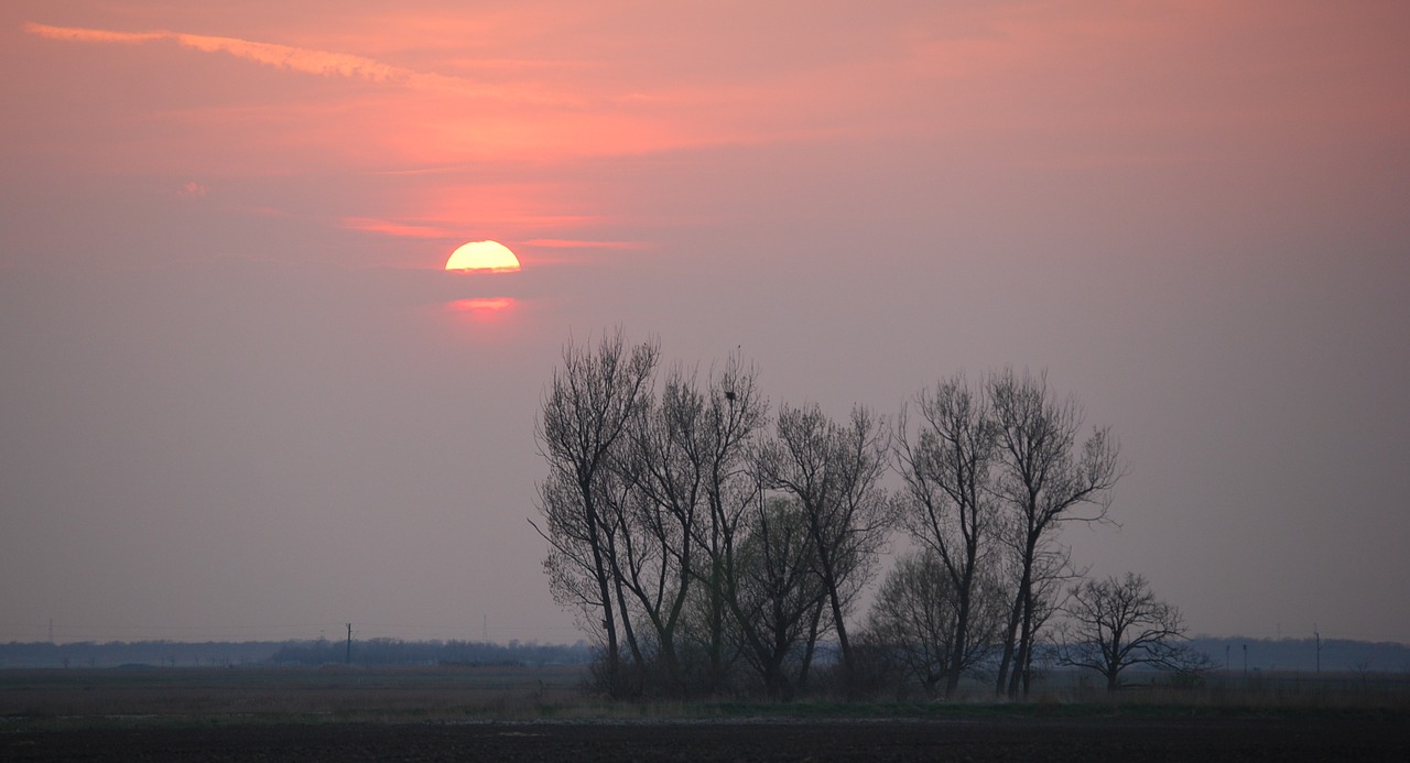 Saulėlydis, Spalva, Debesis, Mediena, Clump, Nemokamos Nuotraukos,  Nemokama Licenzija