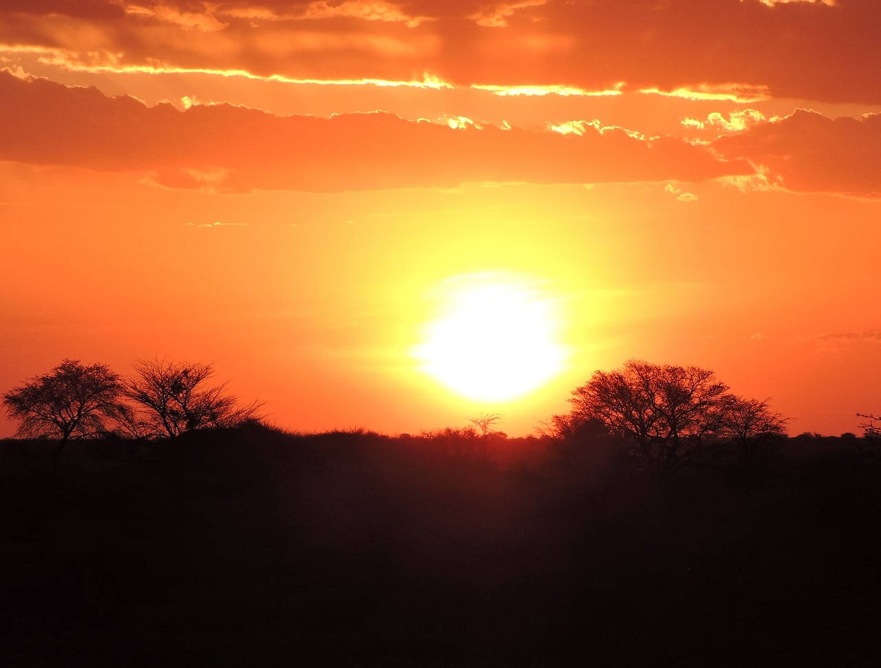 Saulėlydis, Namibija, Kalahari Dykuma, Nemokamos Nuotraukos,  Nemokama Licenzija