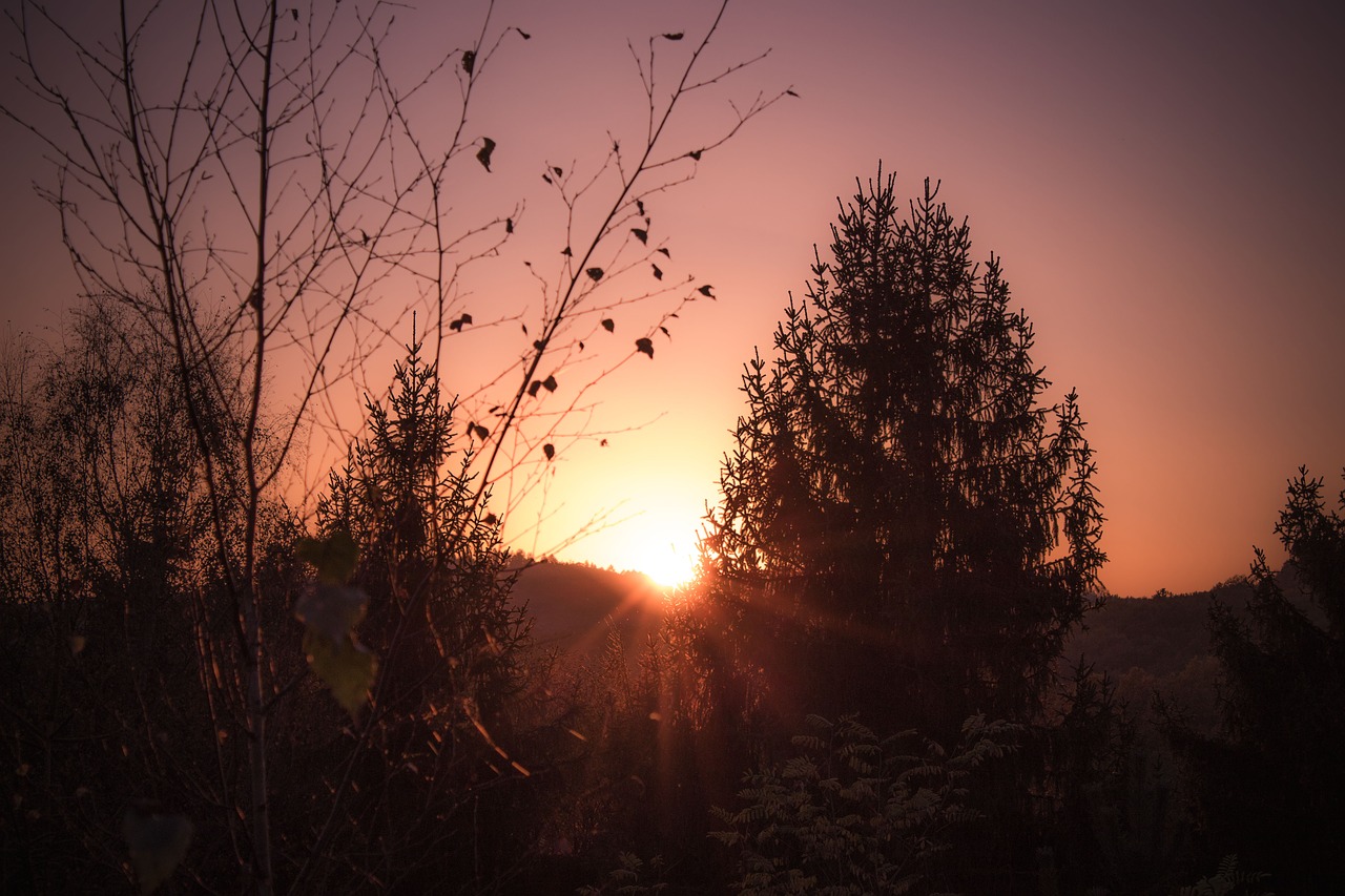 Saulėlydis, Šiltas, Gamta, Afterglow, Abendstimmung, Kraštovaizdis, Romantiškas, Dangus, Nemokamos Nuotraukos,  Nemokama Licenzija