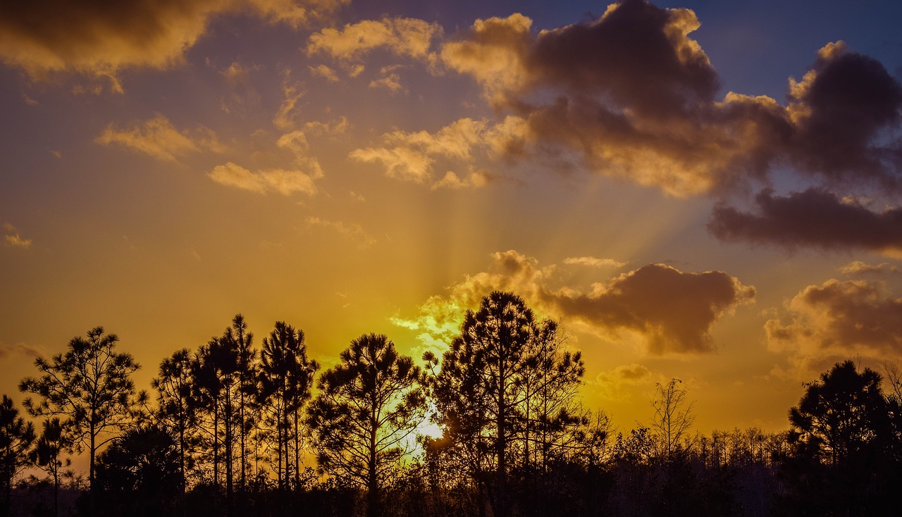 Saulėlydis, Everglades, Į Pietus, Nemokamos Nuotraukos,  Nemokama Licenzija