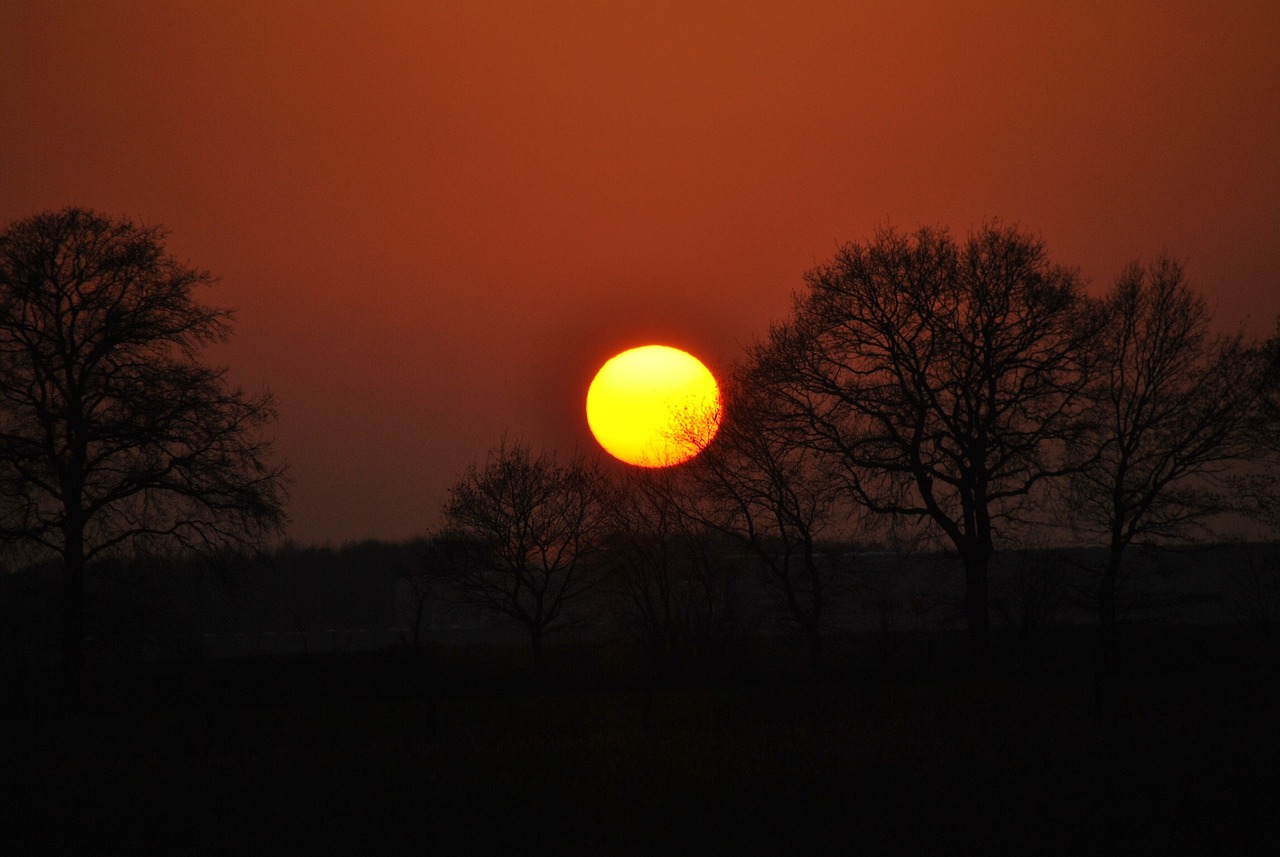 Saulėlydis, Aušra, Medis, Dusk, Saulė, Siluetas, Vakaras, D3000, Afterglow, Nemokamos Nuotraukos