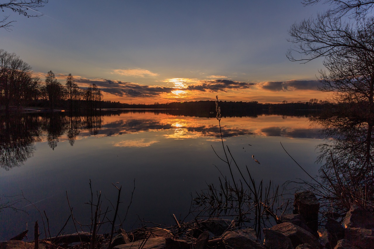 Saulėlydis, Vandenys, Aušra, Gamta, Dusk, Ežeras, Vakaras, Medis, Kraštovaizdis, Šviesa