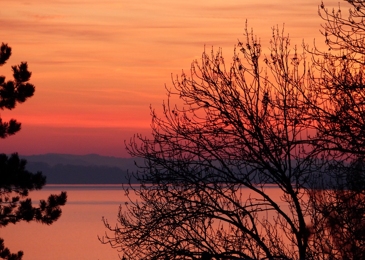 Saulėlydis, Medis, Gamta, Kraštovaizdis, Ežeras, Žiema, Peizažai, Šveicarija, Horizontas, Dusk