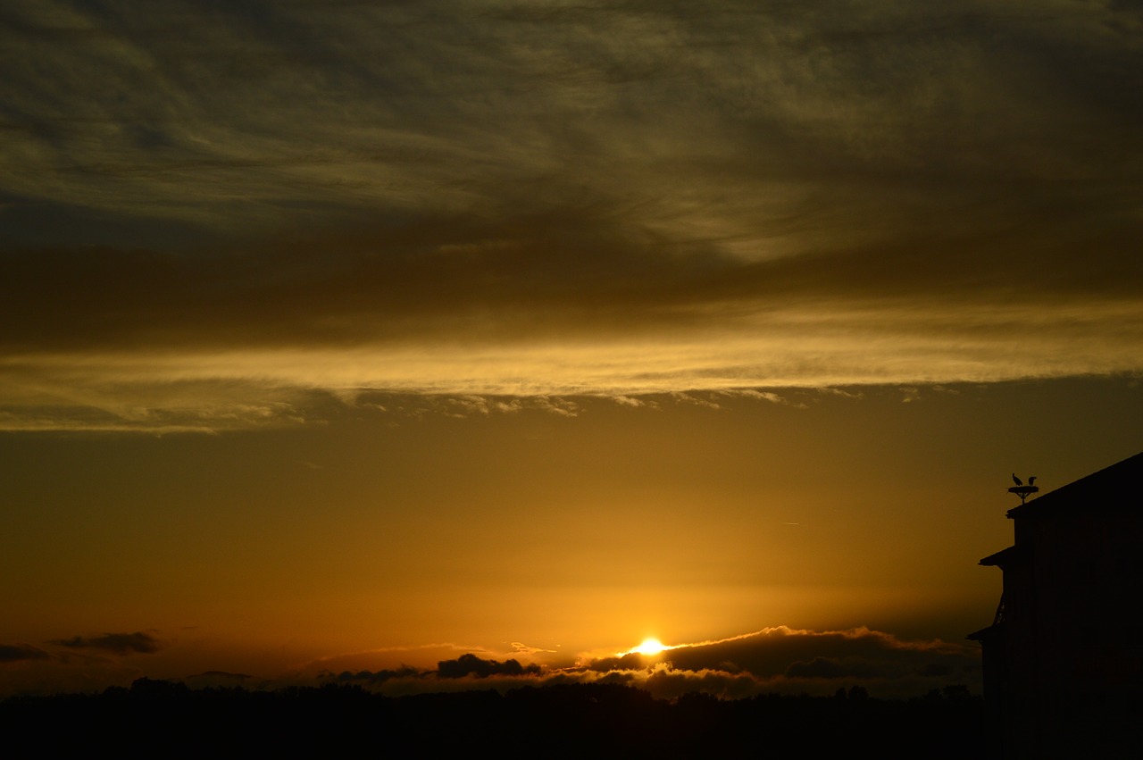 Saulėlydžio,  Dawn,  Saulė,  Prieblanda,  Dangus,  Gandras,  Debesys,  Vakare,  Abendstimmung,  Afterglow