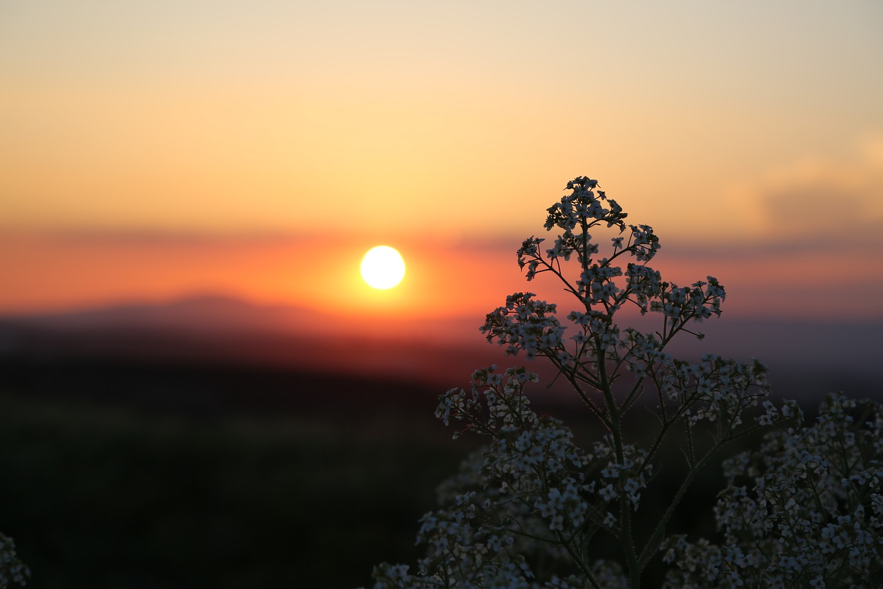 Saulėlydžio,  Dawn,  Saulės,  Gamta, Nemokamos Nuotraukos,  Nemokama Licenzija