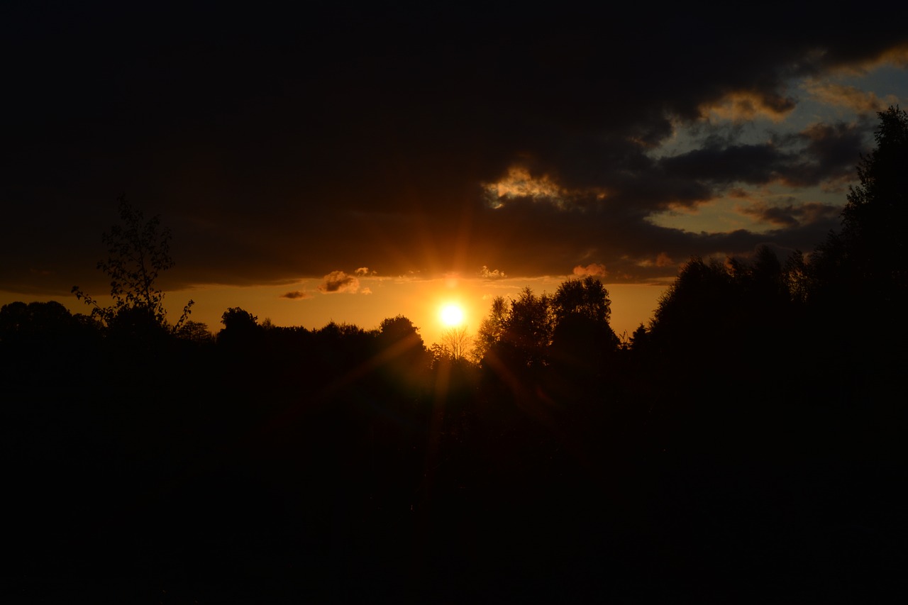 Saulėlydis, Miškas, Abendstimmung, Debesys, Vakarinis Dangus, Saulės Spindulys, Nemokamos Nuotraukos,  Nemokama Licenzija