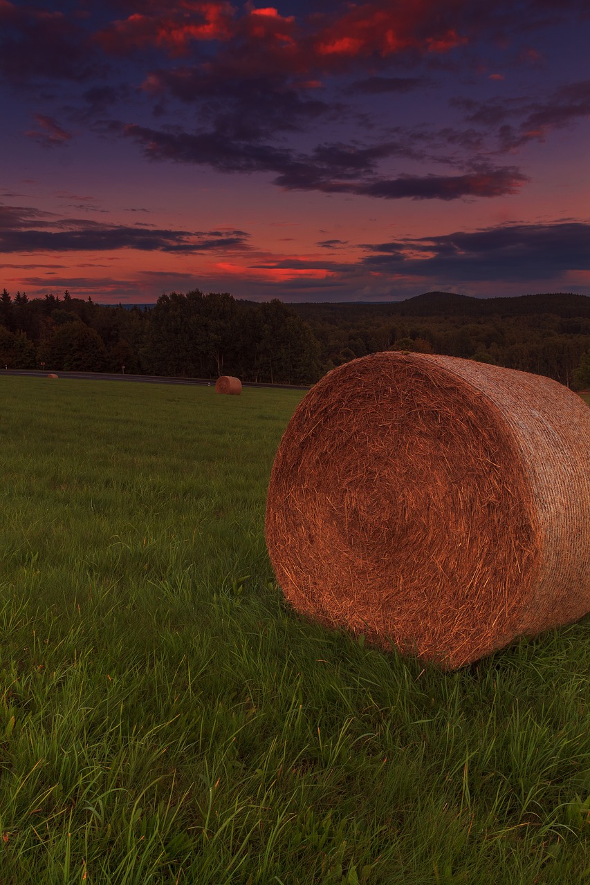 Saulėlydžio,  Miškas,  Abendstimmung,  Twilight,  Ruduo,  Vakarą Dangus, Nemokamos Nuotraukos,  Nemokama Licenzija