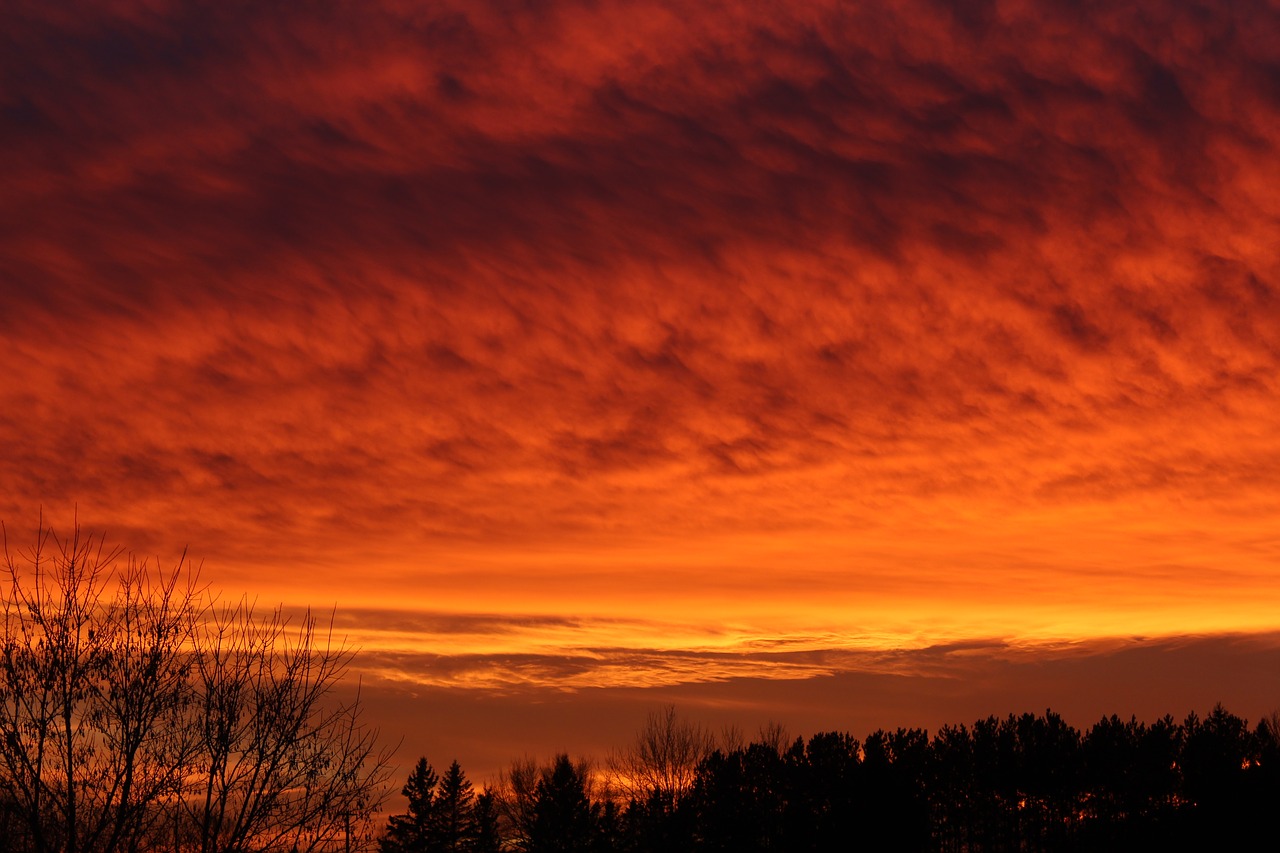 Saulėlydžio,  Rožinis,  Geltona,  Debesys,  Cloudscape,  Medžiai,  Pobūdį,  Kraštovaizdis,  Gražus,  Prieblanda