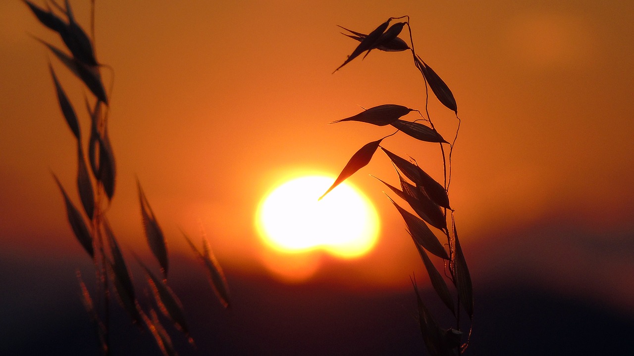 Saulėlydžio,  Sunrise,  Kraštovaizdis,  Dangus,  Pobūdį,  Saulė,  Vaizdingas,  Dawn,  Lauke, Nemokamos Nuotraukos