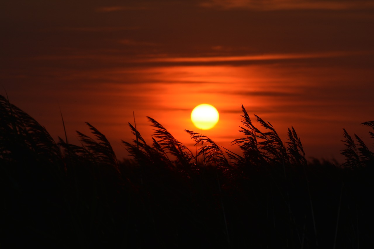 Saulėlydžio,  Romantiškas,  Prieblanda,  Nuotaika,  Dangus,  Vakare,  Pobūdį,  Kraštovaizdis,  Afterglow,  Twilight