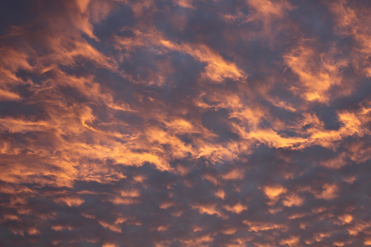 Saulėlydžio,  Rožinis,  Geltona,  Debesys,  Cloudscape,  Medžiai,  Pobūdį,  Kraštovaizdis,  Gražus,  Prieblanda