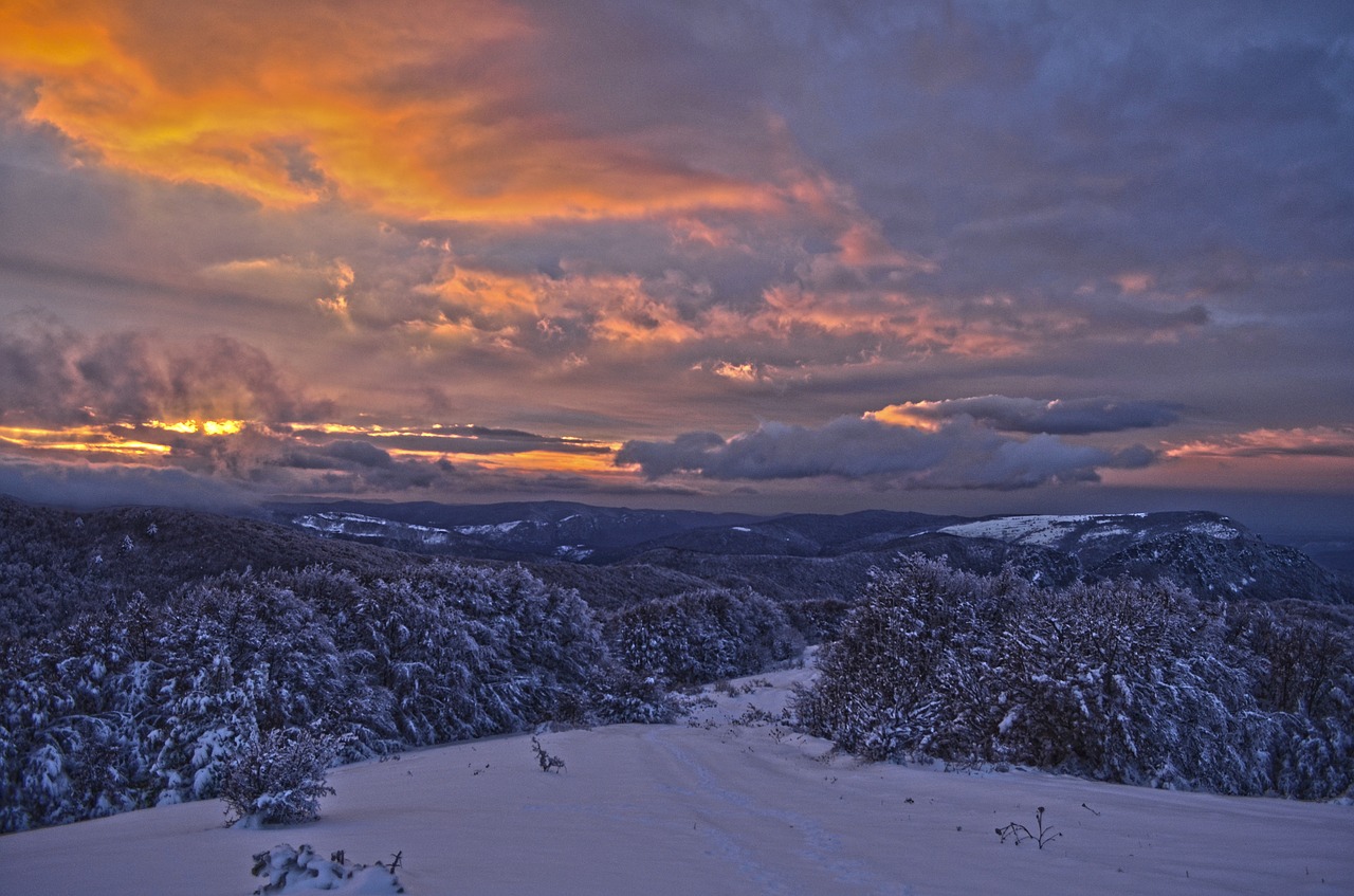 Saulėlydžio,  Žiemos,  Kraštovaizdis,  Dangus,  Pobūdį,  Debesys,  Twilight,  Vakare,  Medžiai,  Šalto