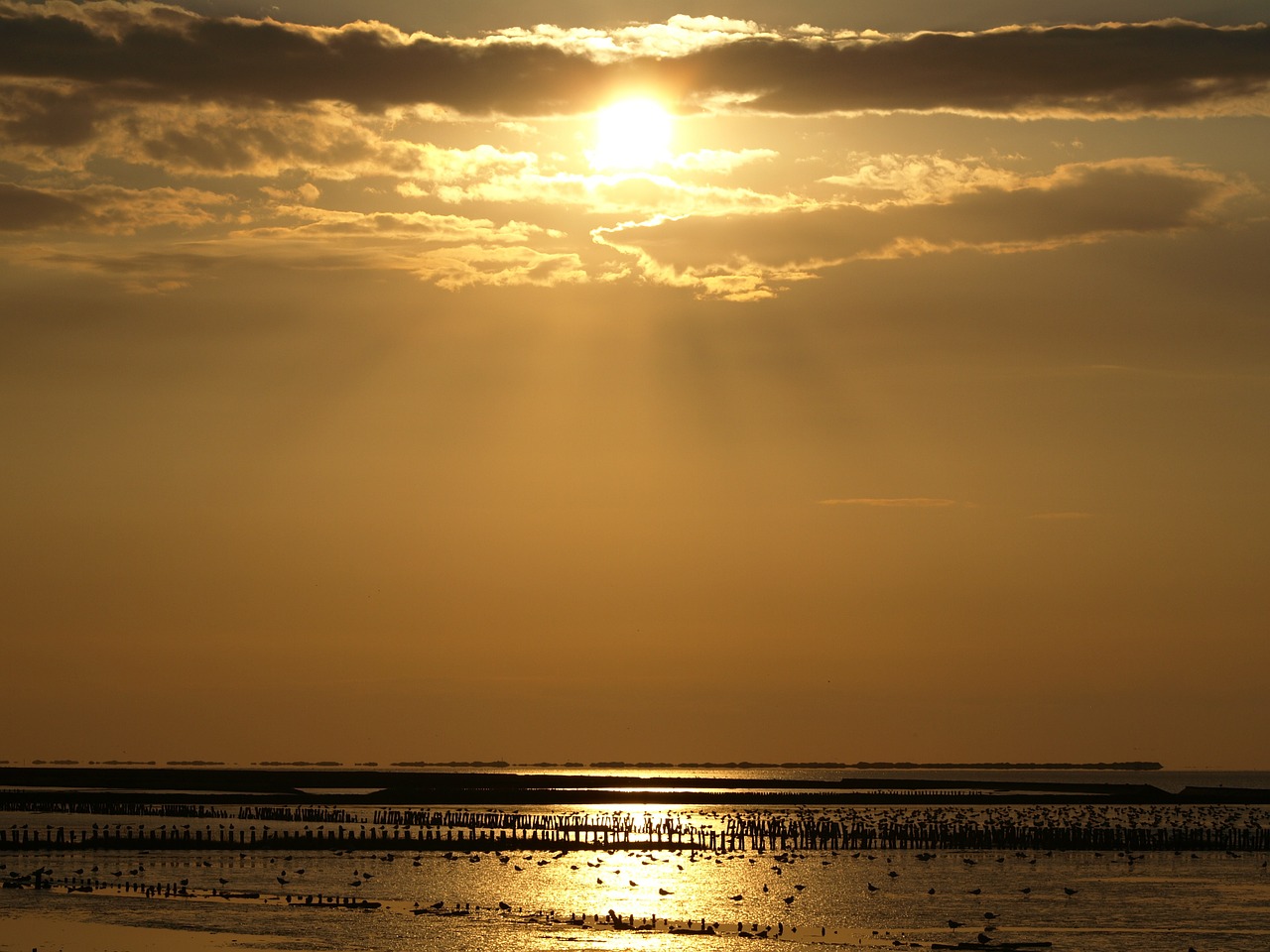 Saulėlydis, Wadden Jūra, Vatai, Dangus, Jūra, Papludimys, Šiaurės Jūra, Vakarinis Dangus, Rytinė Frisia, Nemokamos Nuotraukos