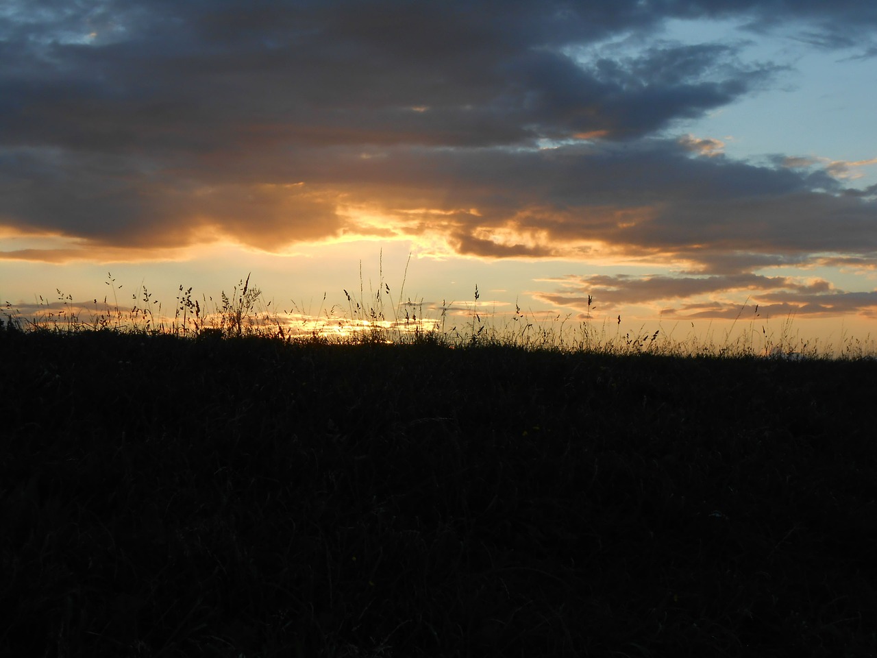 Saulėlydis, Niederhein, Abendstimmung, Pieva, Žolės, Nemokamos Nuotraukos,  Nemokama Licenzija