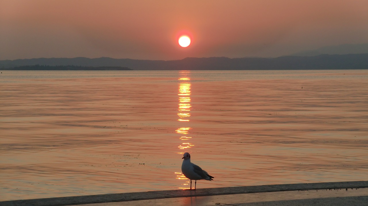 Saulėlydis, Garda, Kepuraitė, Italy, Šventė, Nemokamos Nuotraukos,  Nemokama Licenzija