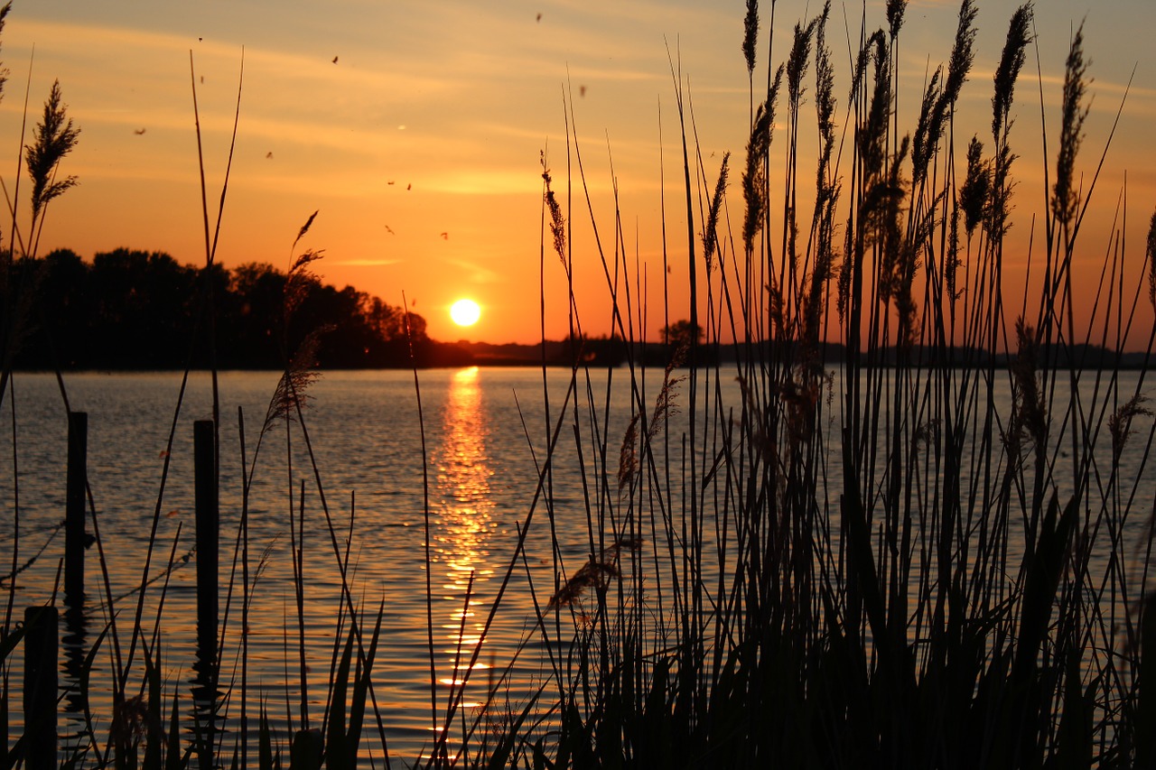 Saulėlydis, Bankas, Žolės, Gamta, Abendstimmung, Ežeras, Dangus, Nemokamos Nuotraukos,  Nemokama Licenzija