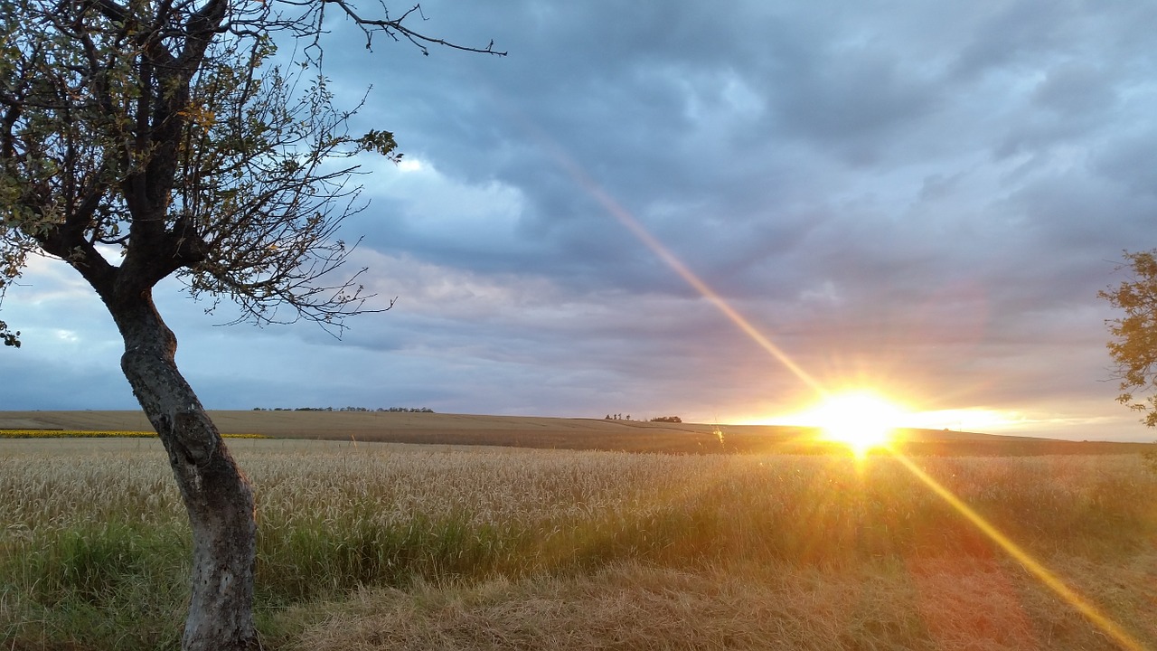 Saulėlydis, Laukas, Aukso Laukas, Gamta, Saulės Šviesa, Vasara, Debesis, Saulės Šviesa, Auksinis, Kvieciai