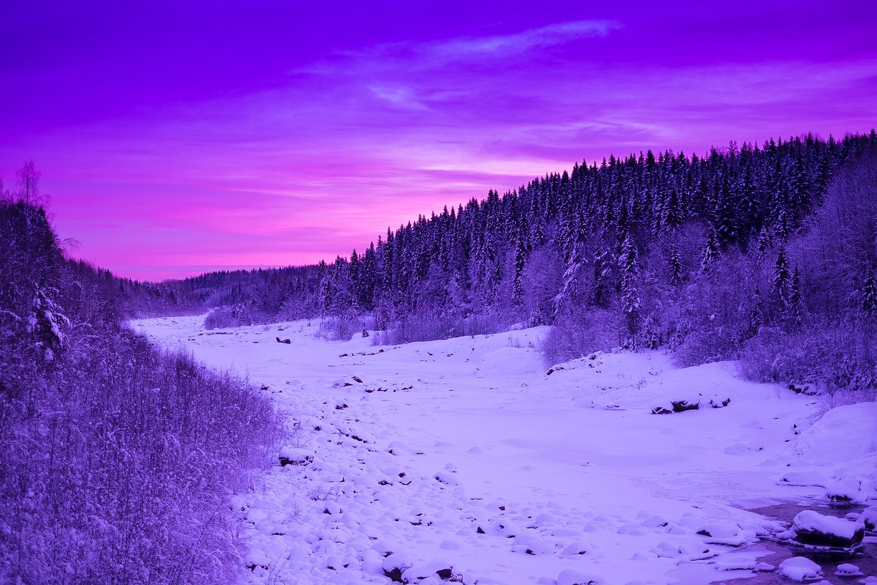 Saulėlydis, Violetinė, Dangus, Dusk, Sniegas, Žiema, Medžiai, Miškas, Nemokamos Nuotraukos,  Nemokama Licenzija