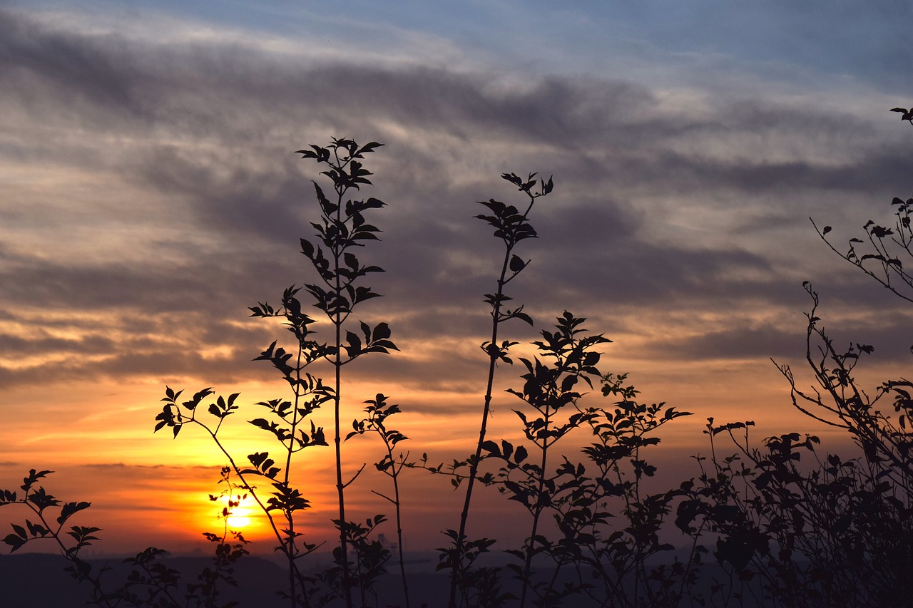 Saulėlydis,  Vakarinis Dangus,  Abendstimmung,  Afterglow,  Dusk,  Vakaras,  Raudona,  Kraštovaizdis, Nemokamos Nuotraukos,  Nemokama Licenzija