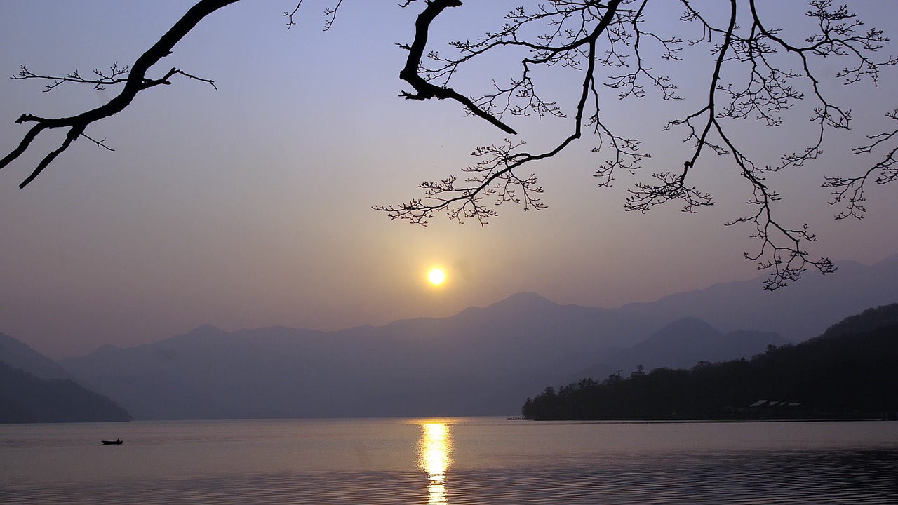 Saulėlydis, Filialai, Mistikas, Šviesa, Filialas, Mediena, Žibintai, Nuotaika, Dusk, Vakare