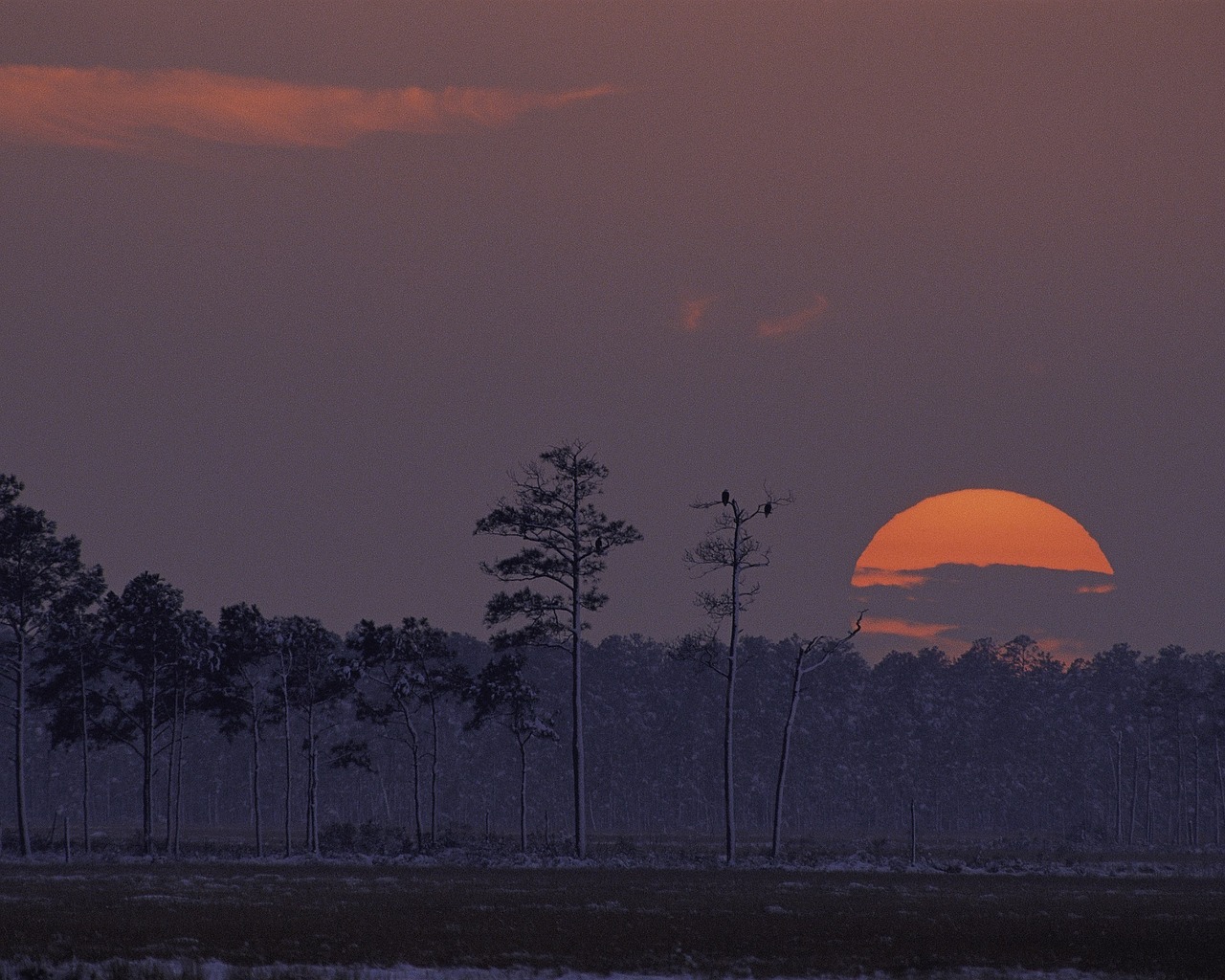 Saulėlydis, Kraštovaizdis, Twilight, Dusk, Saulės Šviesa, Dangus, Spalvinga, Vaizdingas, Horizontas, Medžiai