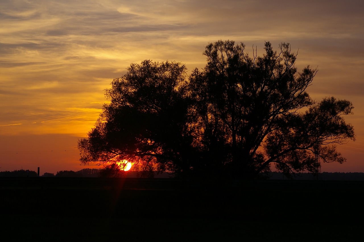 Saulėlydis, Vakaras, Debesys, Dangus, Siluetas, Kraštovaizdis, Dusk, Saulė, Medis, Vakarinis Dangus